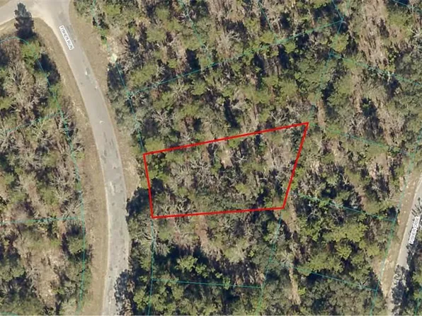 0 FISHER RUN LOT 24, OCKLAWAHA, FL 32179