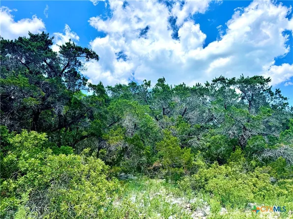 2-4 Private Road 2771, Mico, TX 78056