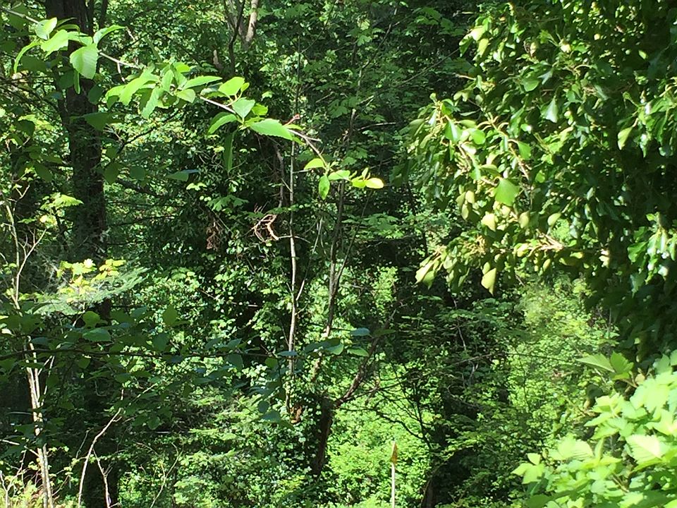2nd image of XX9TH Avenue S