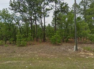 2409 W Newhope Ln LOT 22, Dunnellon, FL 34434