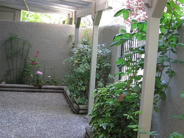 Back Patio