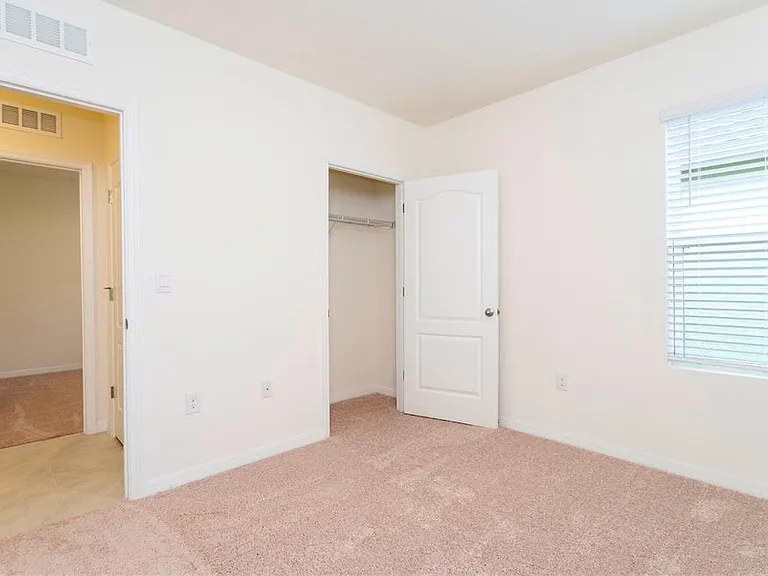 2847 Common Crane Ct — Photo 20
