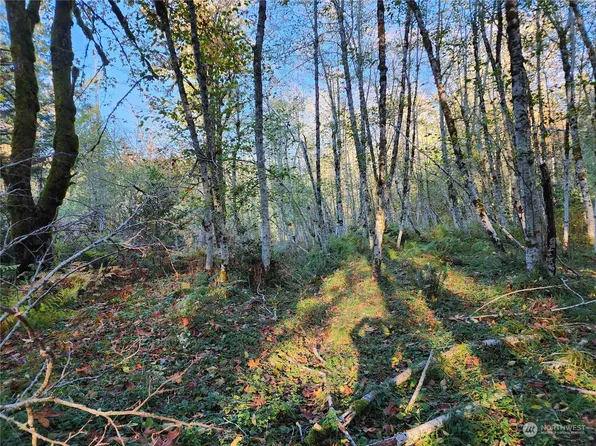 100 E Sunset Hill Road, Shelton, WA 98584