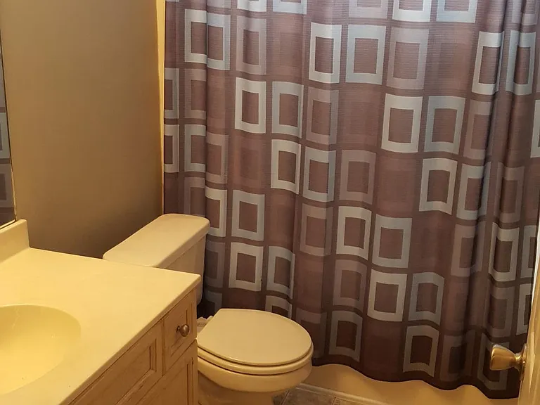 Guest bathroom