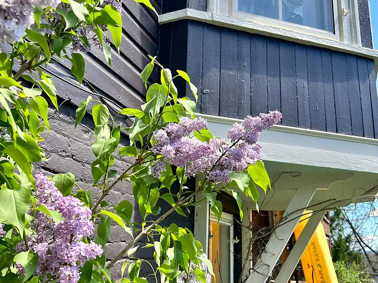 125 Madison Pl — Photo 44
