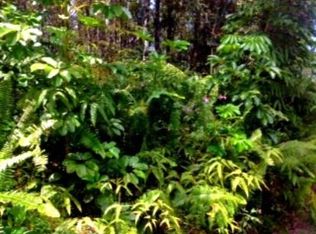 Cameo Rd LOT 284, Pahoa, HI 96778