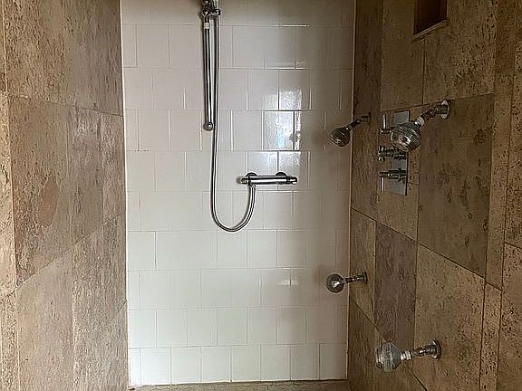 Huge master shower