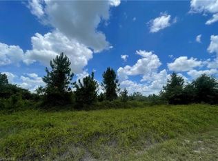 2800 Rita Ave N, Lehigh Acres, FL 33971