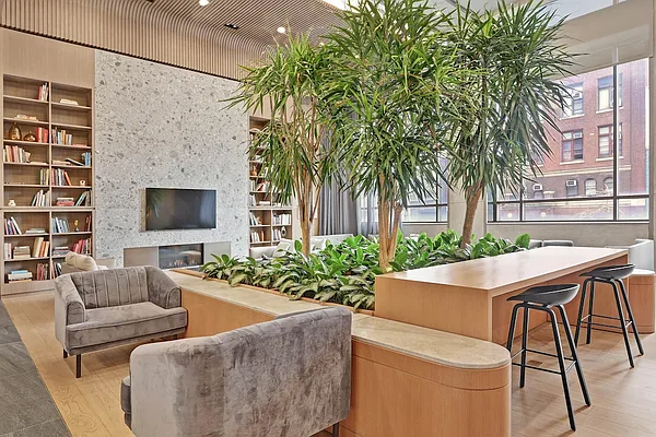 Rented by The Dermot Realty Management Company | media 8