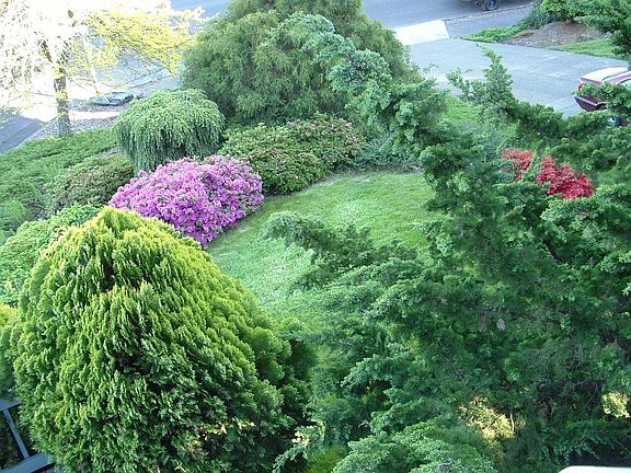 view of front yard from upstaris balcony