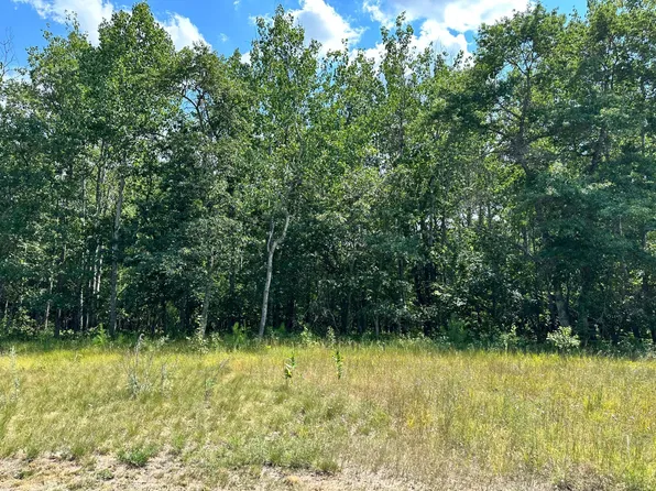 LOT 9 Explorer Cir, Park Rapids, MN 56470