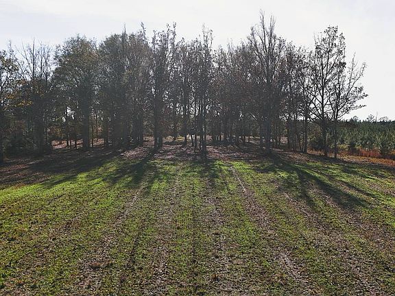 5th image of 0 County Road 25