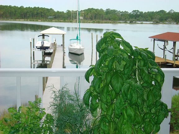 View from back porch