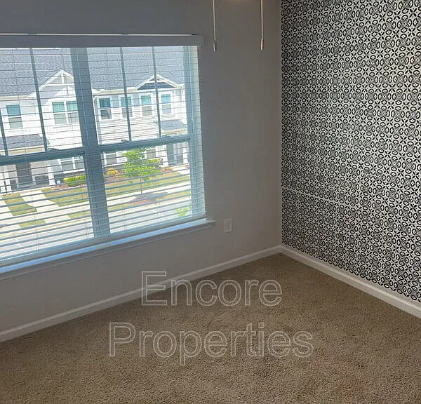 908 Robbie Jackson Ln — Photo 13