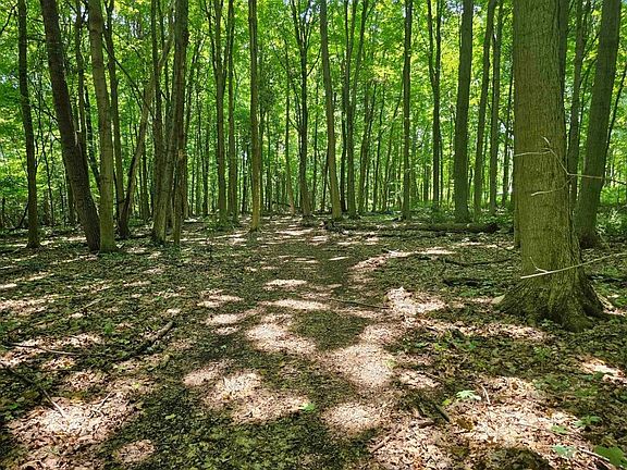 4th image of 0 Lake Bluff Rd