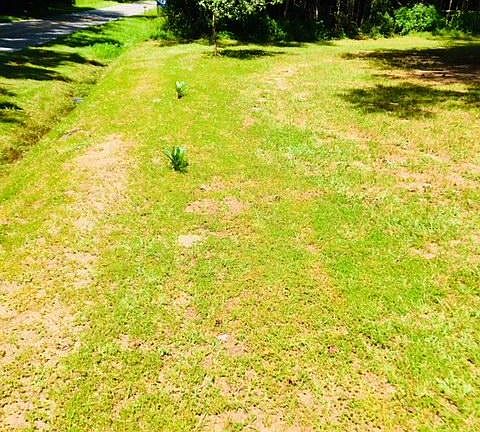 5th image of 290 Rehoboth Rd