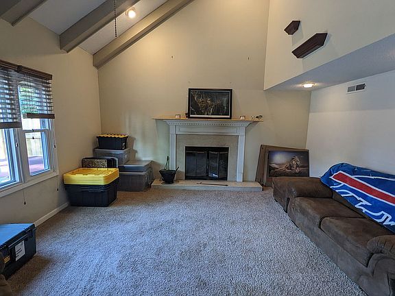 Wood Burning Fireplace