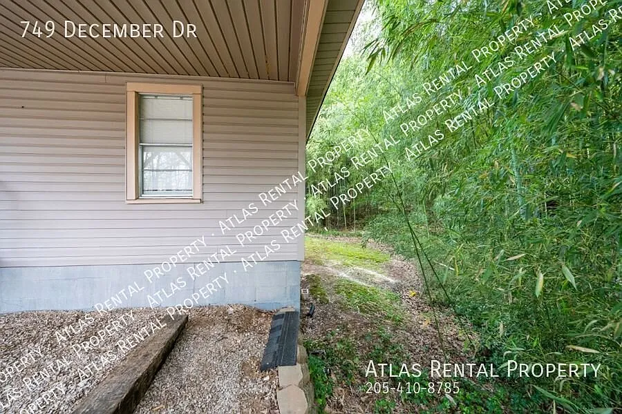 Cozy 2BR Home on a Peaceful Wooded Lot Pets Welcome! — Photo 4