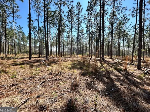 0 Gunn Rd, Sumner, GA 31789