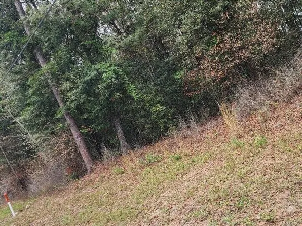 Xx Adams St, Laurel Hill, FL 32567