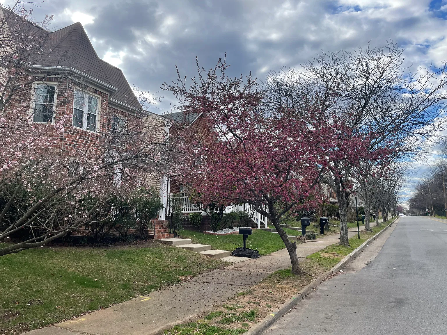 3 bed, 1.5 bath, 1456 sqft, $3,000 — Photo 4