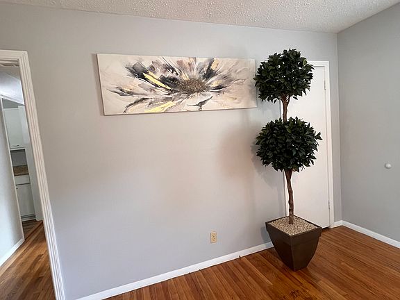 5th image of 17 N Haley St #3