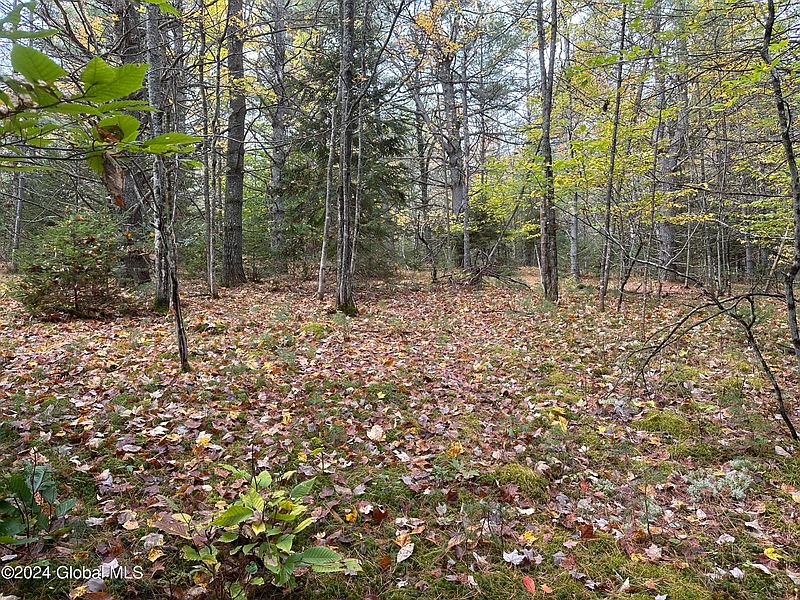 3rd image of L28 Olmstedville Road