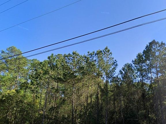 2nd image of 3678 Robena Rd