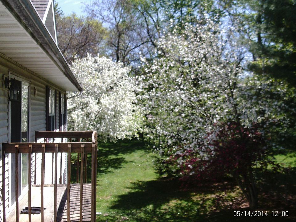 view from balcony