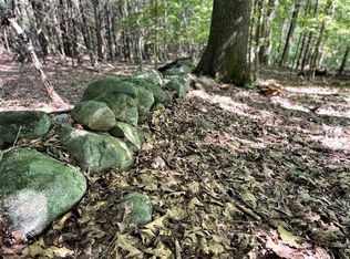 10.1 W Shore Park Rd, Kingston, NH 03848