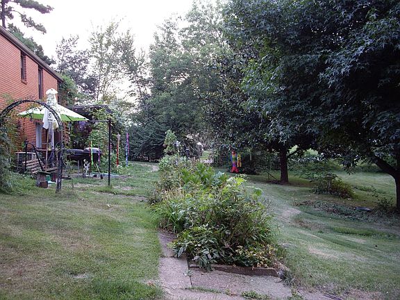 top half of backyard