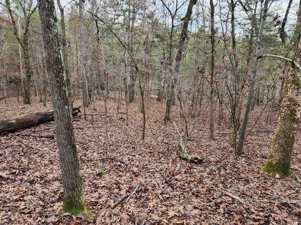 000 Fez Terrace #Lts 3 Th 8, Blk 3, Rockaway Beach, MO 65740