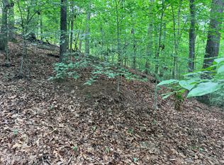 LOT 128 Islandview Point, Sharps Chapel, TN 37866