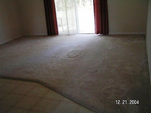 3rd image of 1768 N Normandy Blvd