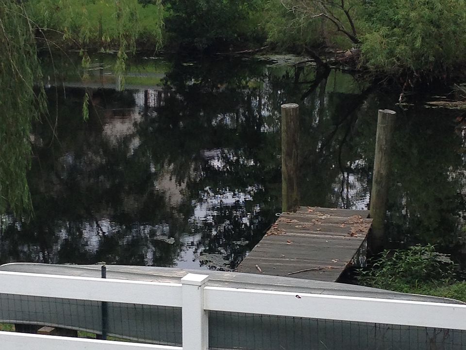 Waterfront with Dock