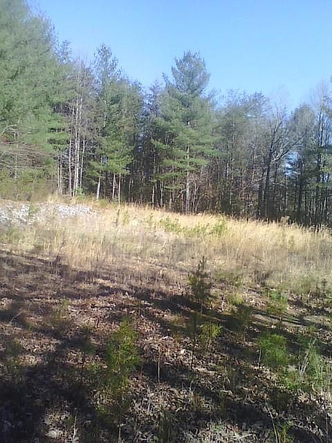 1st image of 250 Badger Ridge Ln