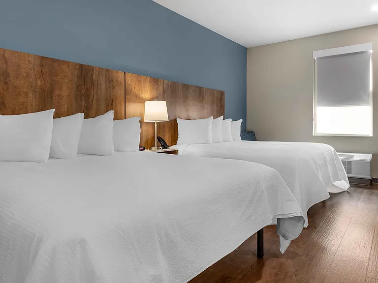 Studio Suite - 2 Queen Beds