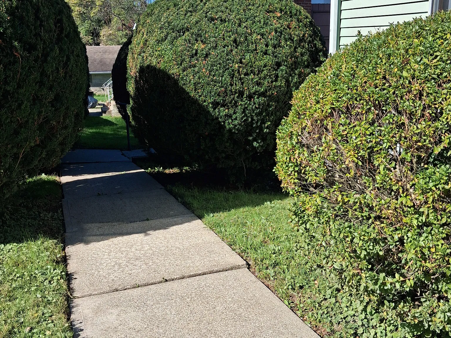 2 bed, $800 — Photo 3