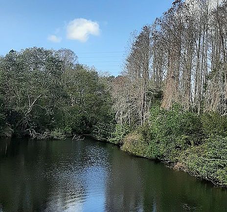 Secluded pond