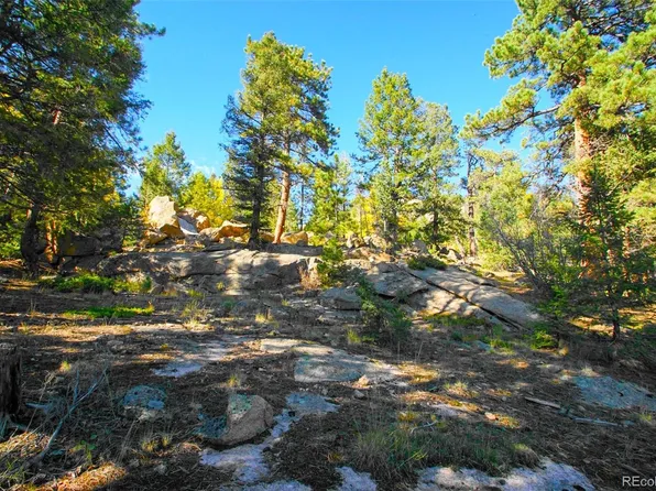 30599 Rand Road, Conifer, CO 80433