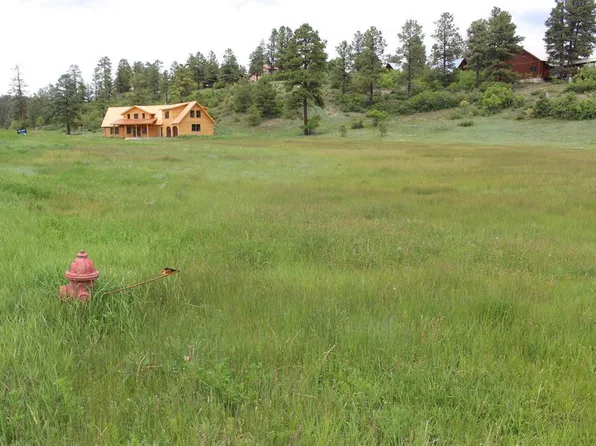 109 Snow Circle, Pagosa Springs, CO 81147
