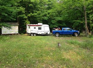 9333 W Cameron Bridge Rd, Frederic, MI 49733