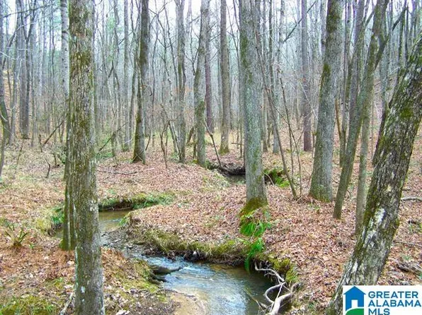 5550 S Shades Crest Rd #0, Bessemer, AL 35022