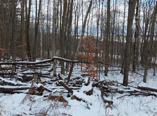 0 Starr Rd LOT 4, Campbell, NY 14821