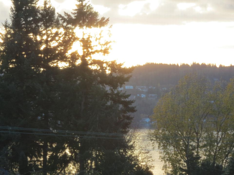 view