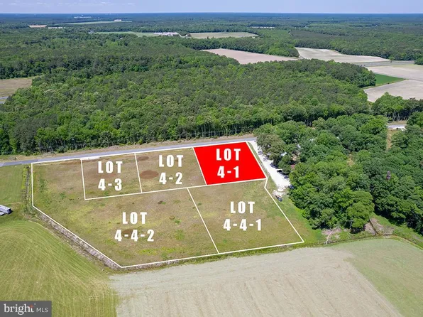 LOT 4 S Old State Rd, Georgetown, DE 19947