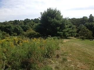 2nd image of lot 1 Route 5 Road