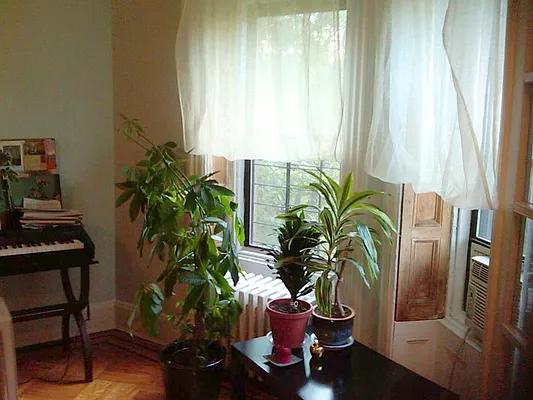 Rented by Alta Real Estate | media 15