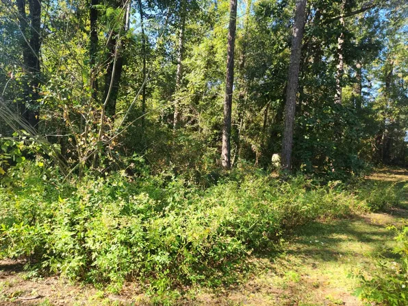 25337 SW Bear St, Bristol, FL 32321