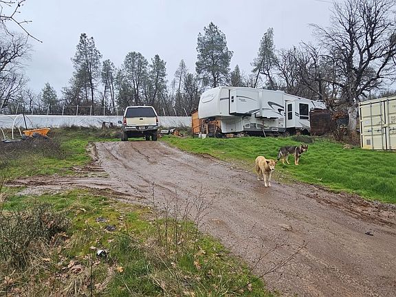 2nd image of 341 Buck Ln